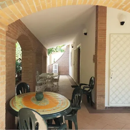 Zeus Торре-Ово