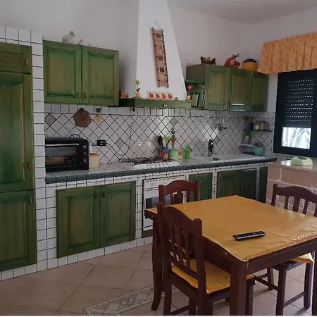 Zeus * Торре-Ово